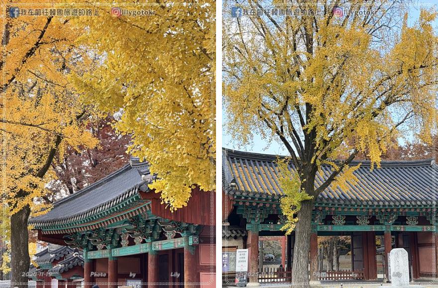 【全羅北道．全州】2024再訪更新「全州韓屋村(慶基殿,殿洞教堂,梧木台,全州鄉校)」及特色美食小吃 @我在前往韓國旅遊的路上