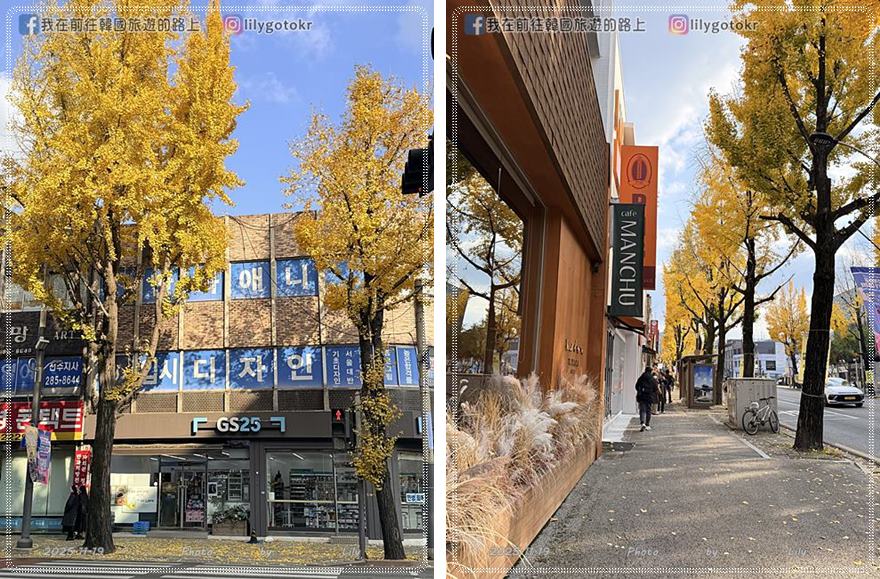 【全羅北道．全州景點】全州鄉校：走進《成均館緋聞,雲畫的月光》拍攝地！11月秋季金黃銀杏、韓服拍攝全攻略 @我在前往韓國旅遊的路上