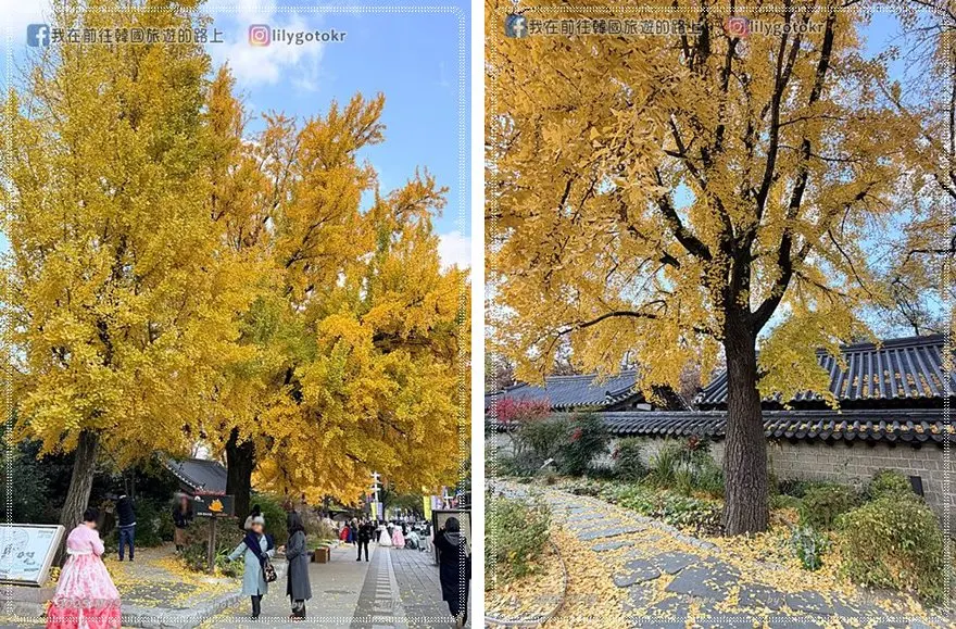 【全羅北道．全州景點】慶基殿(경기전)：走進《雲畫的月光》拍攝地！解密屋頂防火烏龜與禁行神道，全州秋天賞楓銀杏攻略 @我在前往韓國旅遊的路上