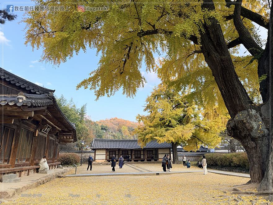 【全羅北道．全州景點】全州鄉校：走進《成均館緋聞,雲畫的月光》拍攝地！11月秋季金黃銀杏、韓服拍攝全攻略 @我在前往韓國旅遊的路上