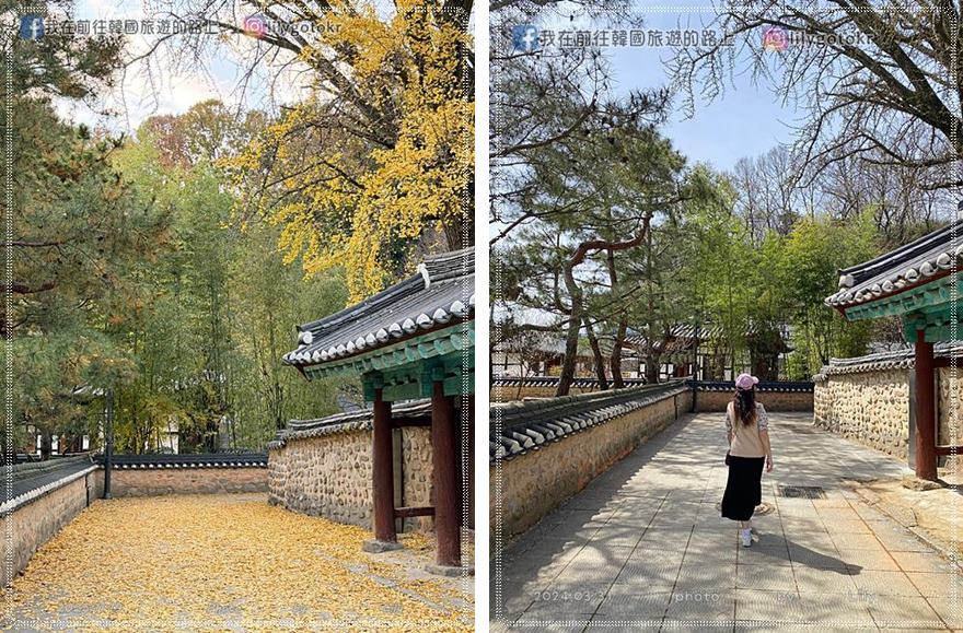 【全羅北道．全州景點】全州鄉校：走進《成均館緋聞,雲畫的月光》拍攝地！11月秋季金黃銀杏、韓服拍攝全攻略 @我在前往韓國旅遊的路上