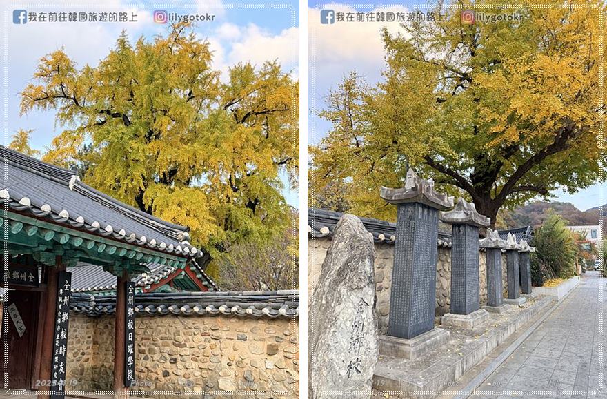 【全羅北道．全州景點】全州鄉校：走進《成均館緋聞,雲畫的月光》拍攝地！11月秋季金黃銀杏、韓服拍攝全攻略 @我在前往韓國旅遊的路上