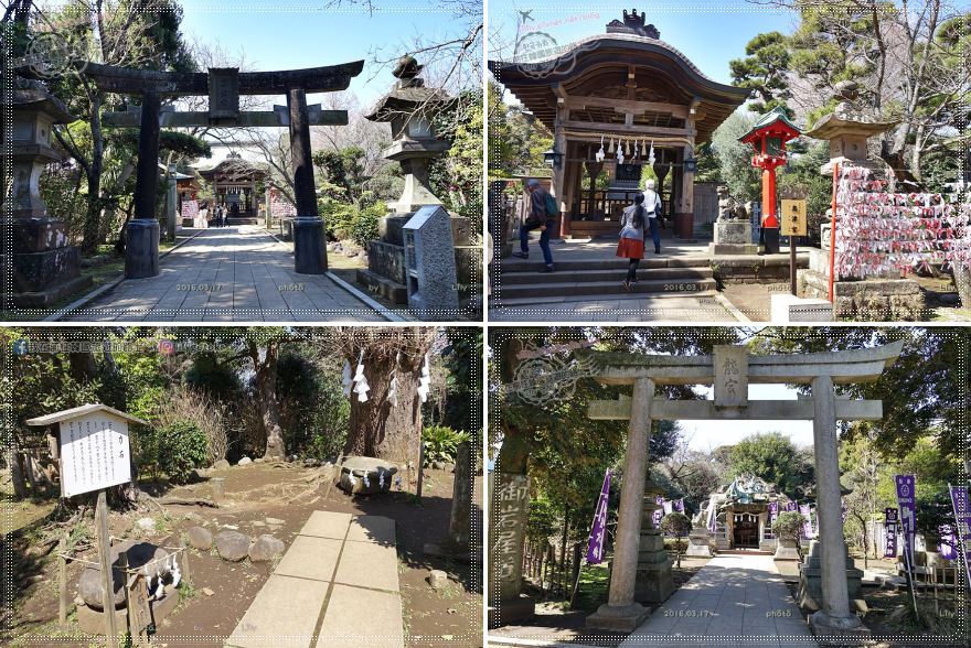 日本東京近郊．鐮倉‬｜江之島江島神社求財運、必吃仙貝，踩點韓劇《愛情怎麼翻譯?》取景地 @我在前往韓國旅遊的路上