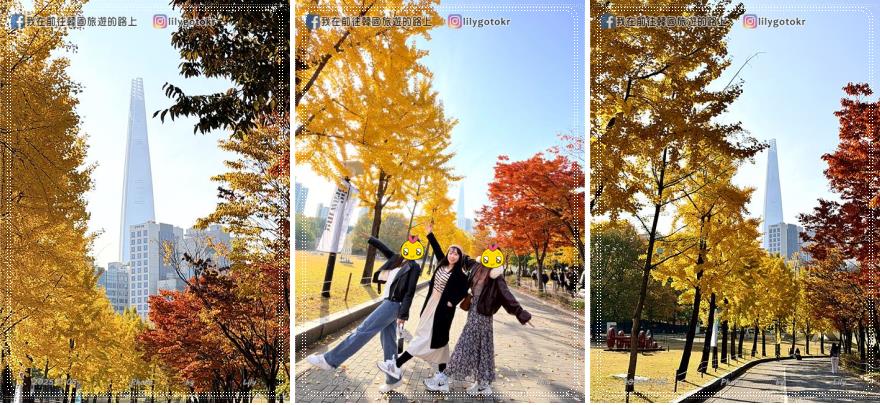 【首爾景點】秋季賞花｜奧林匹克公園：銀杏路、波斯菊花海、粉紅亂子草、波波草，超適合拍畫報 @我在前往韓國旅遊的路上