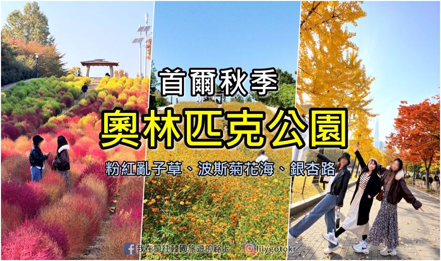 【首爾景點】秋季賞花|奧林匹克公園:銀杏路、波斯菊花海、粉紅亂子草、波波草,超適合拍畫報 @我在前往韓國旅遊的路上 【首爾景點】秋季賞花|奧林匹克公園:銀杏路、波斯菊花海、粉紅亂子草、波波草,超適合拍畫報 @我在前往韓國旅遊的路上