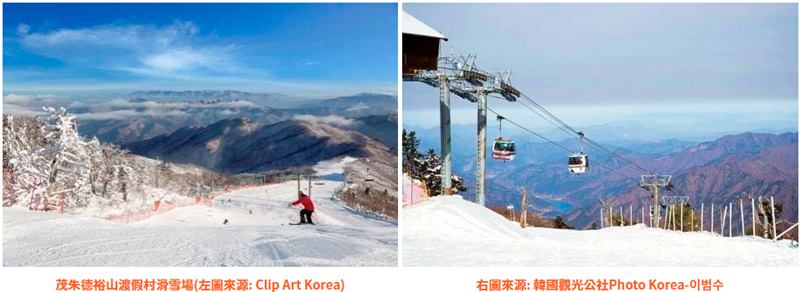 韓國冬季慶典懶人包｜2025滑雪、浪漫燈飾、冰釣、跨年各地總整理 @我在前往韓國旅遊的路上