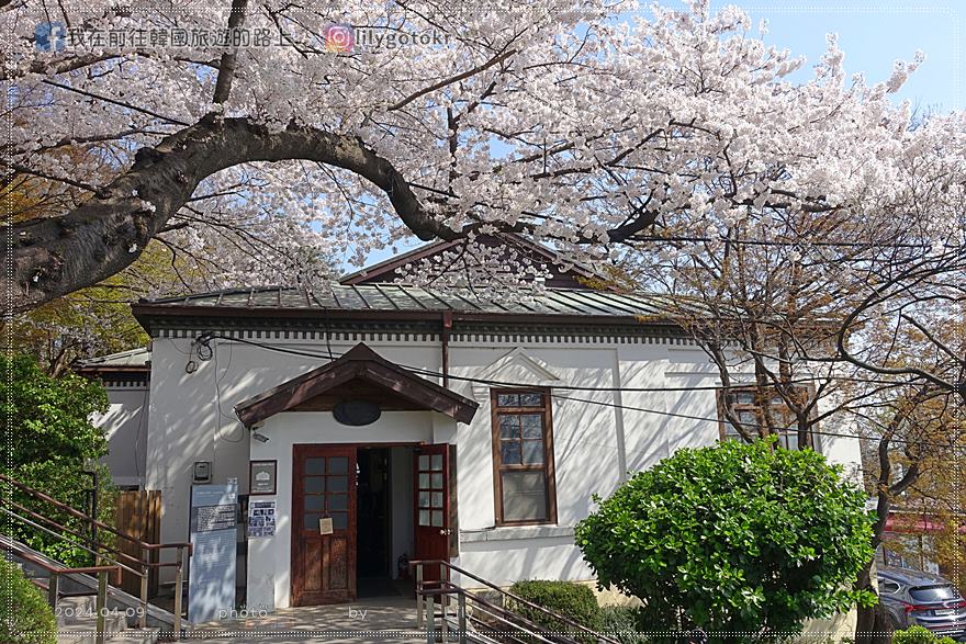 ㉔仁川｜自由公園(자유공원)賞櫻《Moving異能、天使之眼、孤單又燦爛的神 鬼怪》拍攝地(更新) @我在前往韓國旅遊的路上