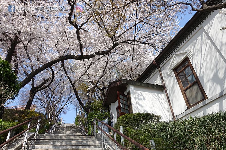 ㉔仁川｜自由公園(자유공원)賞櫻《Moving異能、天使之眼、孤單又燦爛的神 鬼怪》拍攝地(更新) @我在前往韓國旅遊的路上