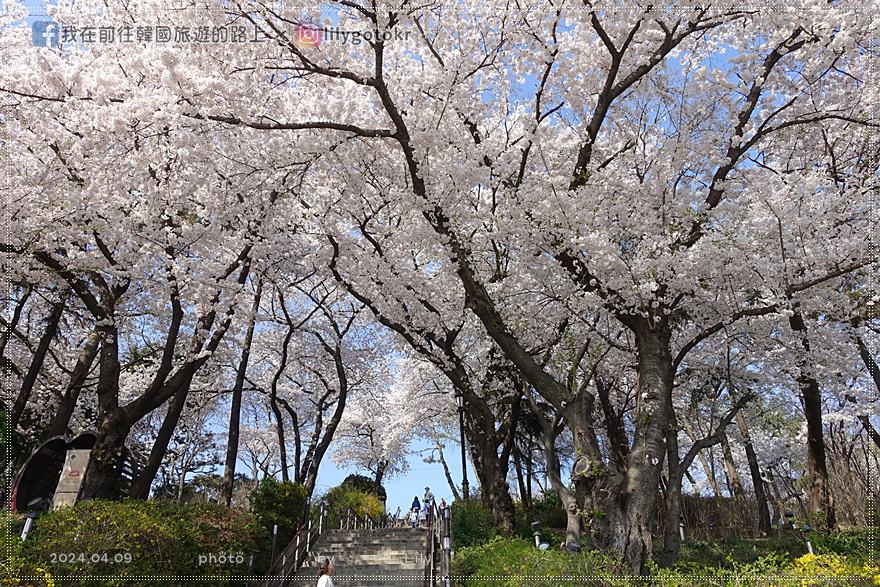 ㉔仁川｜自由公園(자유공원)賞櫻《Moving異能、天使之眼、孤單又燦爛的神 鬼怪》拍攝地(更新) @我在前往韓國旅遊的路上