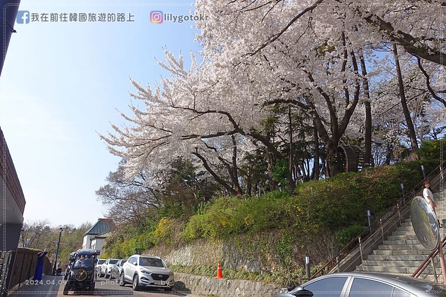 ㉔仁川｜自由公園(자유공원)賞櫻《Moving異能、天使之眼、孤單又燦爛的神 鬼怪》拍攝地(更新) @我在前往韓國旅遊的路上