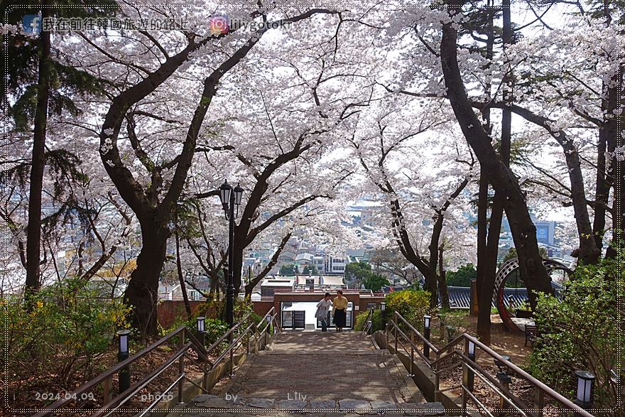 ㉔仁川｜自由公園(자유공원)賞櫻《Moving異能、天使之眼、孤單又燦爛的神 鬼怪》拍攝地(更新) @我在前往韓國旅遊的路上