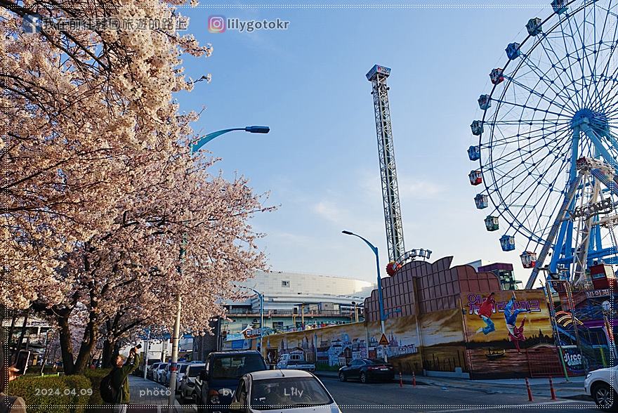 63)仁川賞櫻|到「月尾公園、月尾主題公園」海景櫻花、海鷗夕陽一次收 @我在前往韓國旅遊的路上 63)仁川賞櫻|到「月尾公園、月尾主題公園」海景櫻花、海鷗夕陽一次收 @我在前往韓國旅遊的路上