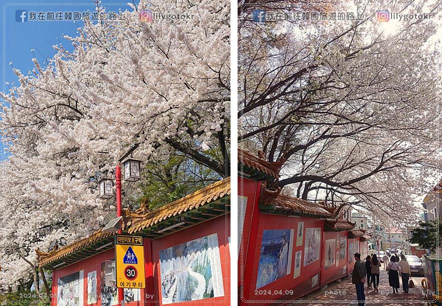㉔仁川｜自由公園(자유공원)賞櫻《Moving異能、天使之眼、孤單又燦爛的神 鬼怪》拍攝地(更新) @我在前往韓國旅遊的路上