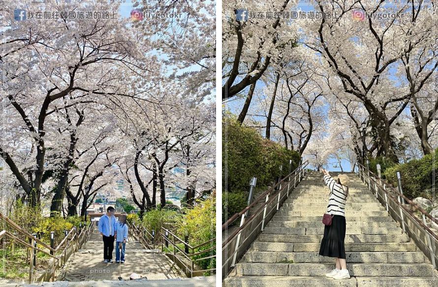 ㉔仁川｜自由公園(자유공원)賞櫻《Moving異能、天使之眼、孤單又燦爛的神 鬼怪》拍攝地(更新) @我在前往韓國旅遊的路上