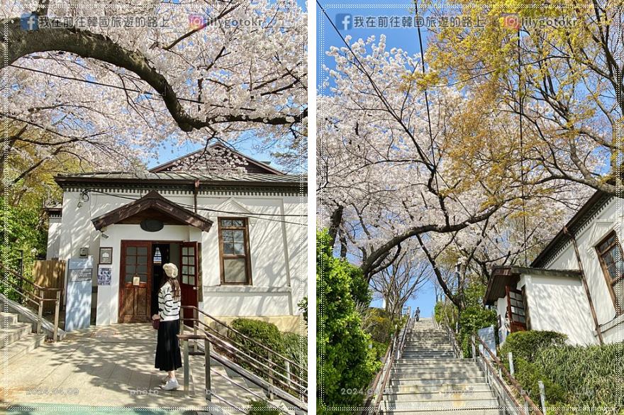 ㉔仁川｜自由公園(자유공원)賞櫻《Moving異能、天使之眼、孤單又燦爛的神 鬼怪》拍攝地(更新) @我在前往韓國旅遊的路上