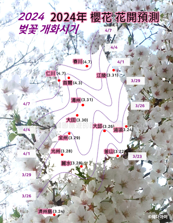 韓國春季慶典懶人包｜2024櫻花花開預測～各地油菜花,賞櫻景點 總整理 @我在前往韓國旅遊的路上