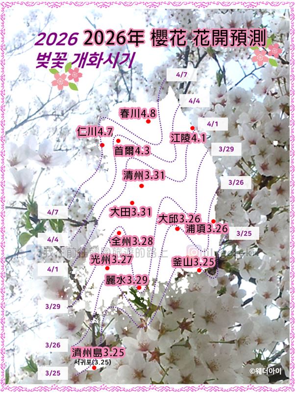 韓國春季慶典懶人包|2026櫻花花開預測~各地油菜花,賞櫻景點 總整理 @我在前往韓國旅遊的路上 韓國春季慶典懶人包|2026櫻花花開預測~各地油菜花,賞櫻景點 總整理 @我在前往韓國旅遊的路上