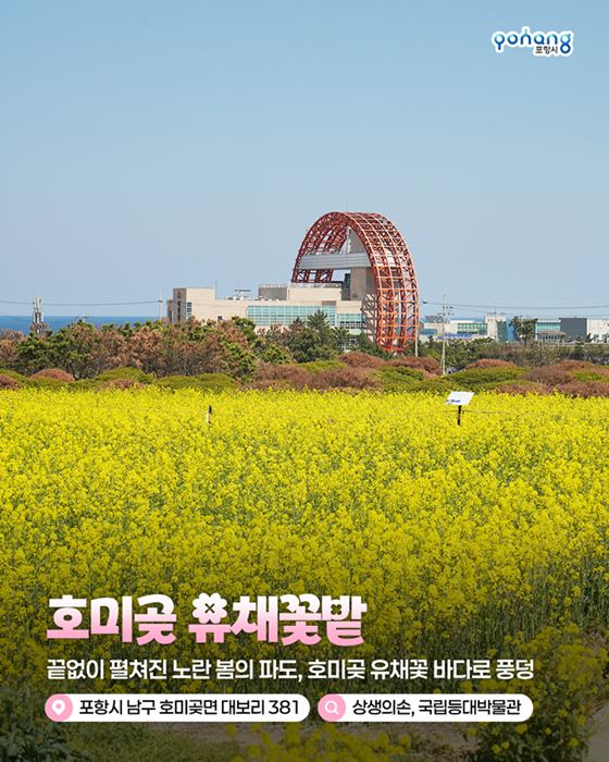 韓國春季慶典懶人包|2026櫻花花開預測~各地油菜花,賞櫻景點 總整理 @我在前往韓國旅遊的路上 韓國春季慶典懶人包|2026櫻花花開預測~各地油菜花,賞櫻景點 總整理 @我在前往韓國旅遊的路上