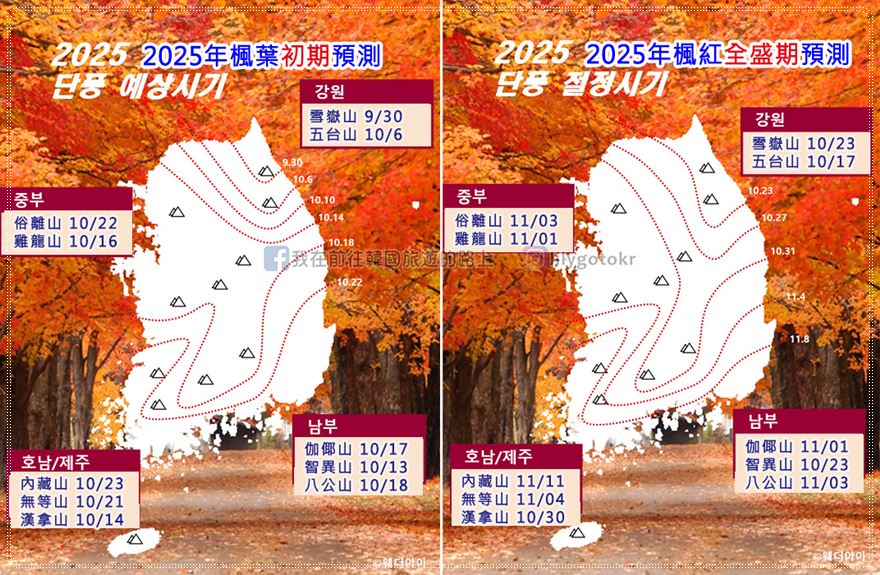 韓國秋季慶典懶人包｜2025楓紅預測～賞楓銀杏、粉紅亂子草、波斯菊&#8230;等 @我在前往韓國旅遊的路上