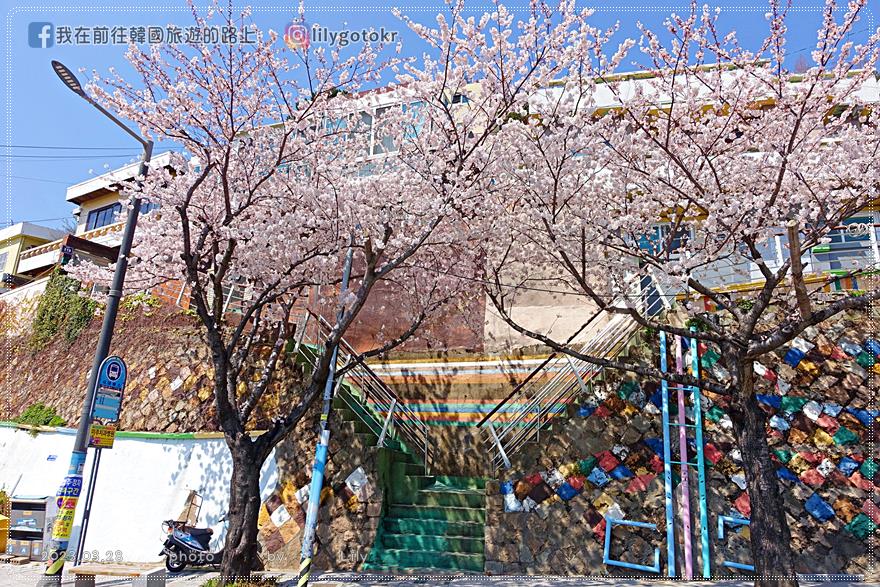 ㊶釜山．釜山站｜望洋路櫻花大道之私房景點「大廳洞色彩村(대청동색채마을)」適合愛拍照的你(二訪更新) @我在前往韓國旅遊的路上