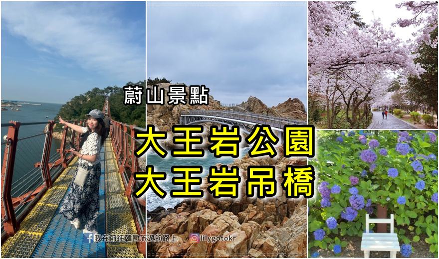 ㊶蔚山｜大王岩公園(대왕암공원)賞櫻、繡球花、奇石、看日出，還有新景點「大王岩吊橋」 @我在前往韓國旅遊的路上
