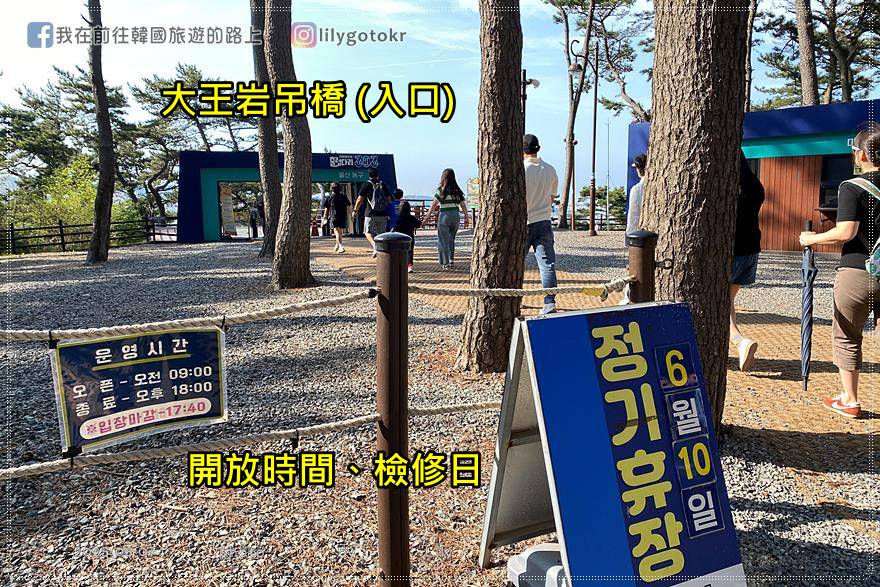 ㊶蔚山｜大王岩公園(대왕암공원)賞櫻、繡球花、奇石、看日出，還有新景點「大王岩吊橋」 @我在前往韓國旅遊的路上