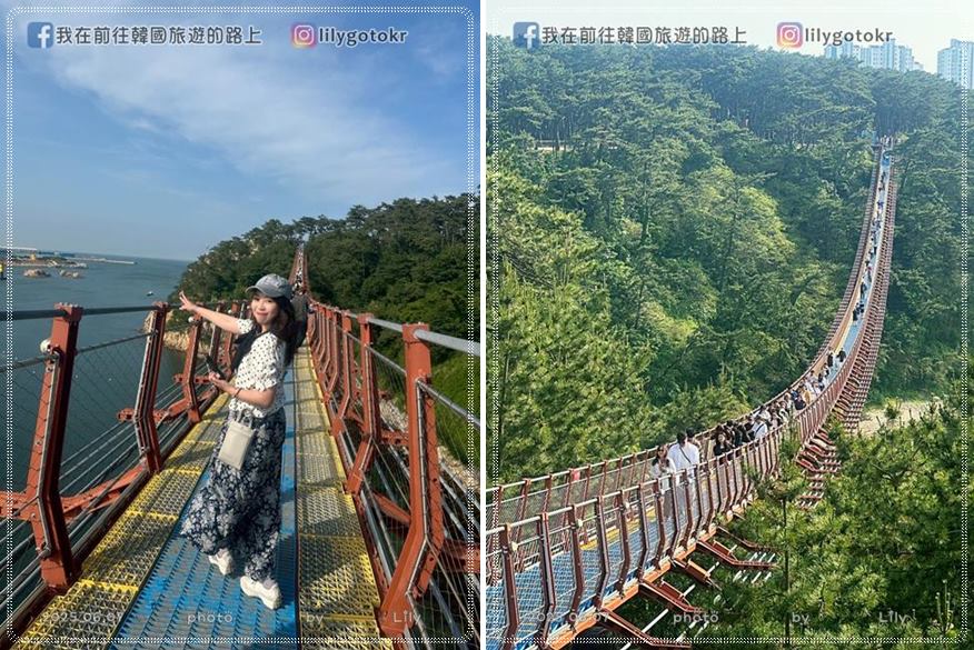 ㊶蔚山｜大王岩公園(대왕암공원)賞櫻、繡球花、奇石、看日出，還有新景點「大王岩吊橋」 @我在前往韓國旅遊的路上