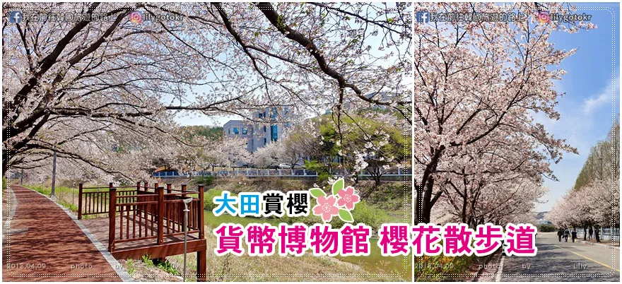 【大田景點】大田EXPO科學公園｜免費韓光塔展望台・音樂噴泉水舞表演攻略 @我在前往韓國旅遊的路上