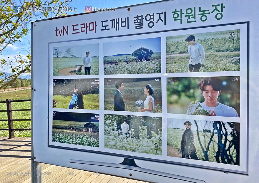 首爾x韓綜拍攝地｜《Running Man》劉在錫導遊的狎鷗亭旅行 @我在前往韓國旅遊的路上