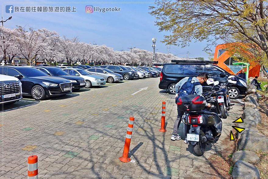 57)慶尚北道．慶州｜在慶州租摩托車(scooter)，輕鬆到普門湖賞櫻超便利 @我在前往韓國旅遊的路上