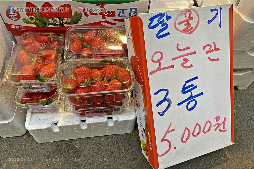 57)慶尚北道．浦項｜竹島市場尋找美食~烤魚大麥飯定食只要7000韓元、水果超便宜 @我在前往韓國旅遊的路上