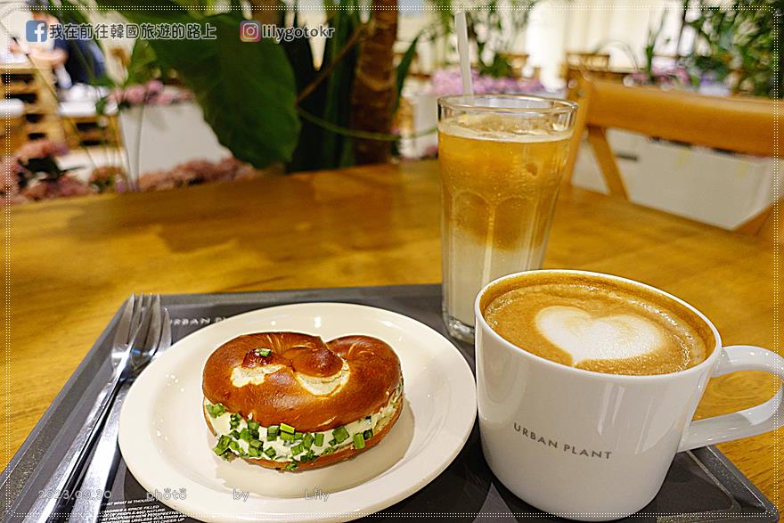 60)首爾．明洞｜首爾隱藏版咖啡廳「明洞Urban Plant」喝咖啡也能拍下人生美照的打卡網美咖啡廳 @我在前往韓國旅遊的路上