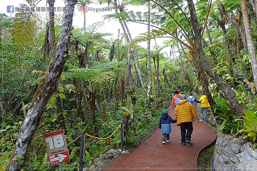 日本．沖繩｜沖繩親子景點「DINO恐龍PARK山原亞熱帶之森」生動的恐龍公園 @我在前往韓國旅遊的路上