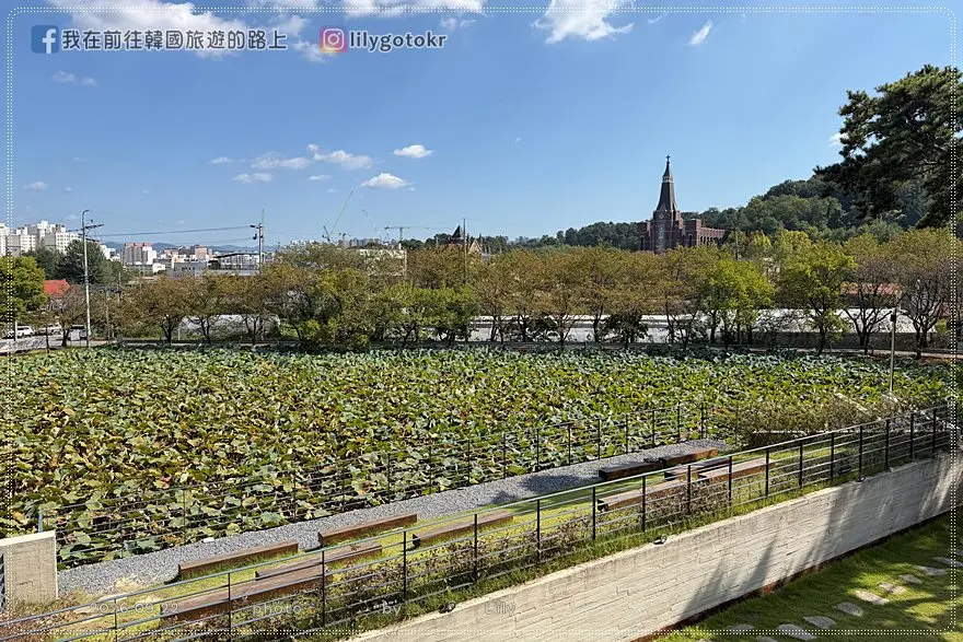 【忠清北道．清州】韓屋咖啡廳「養林人文檔案館與人文學院咖啡廳」，前方還有蓮池櫻花路 @我在前往韓國旅遊的路上