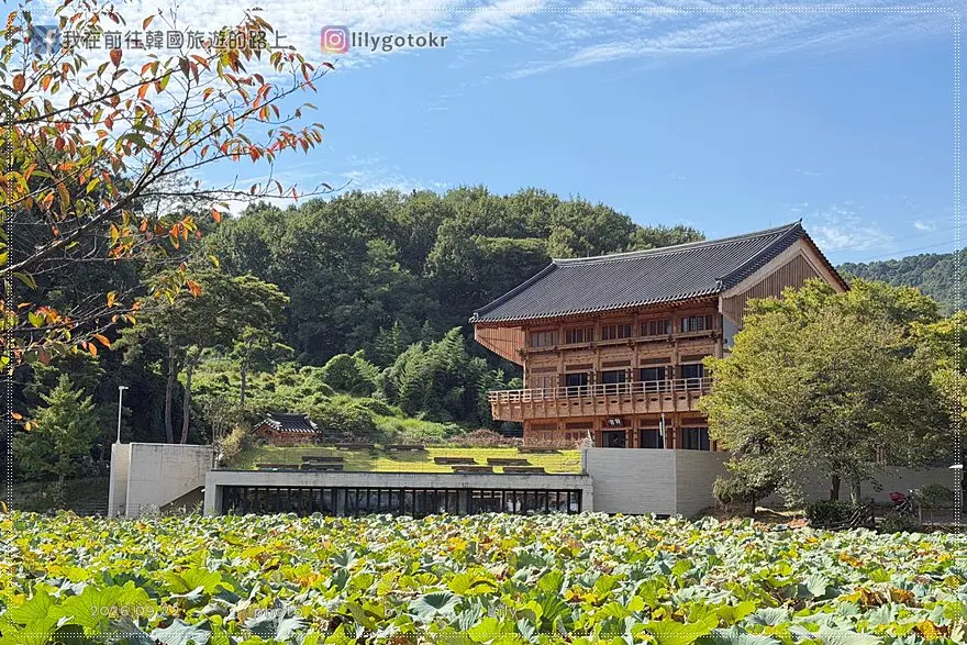 【忠清北道．清州】韓屋咖啡廳「養林人文檔案館與人文學院咖啡廳」，前方還有蓮池櫻花路 @我在前往韓國旅遊的路上