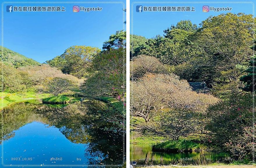 60)全羅南道．潭陽｜鳴玉軒 苑林《雲畫的月光,還魂,君主》歷史劇拍攝地 @我在前往韓國旅遊的路上