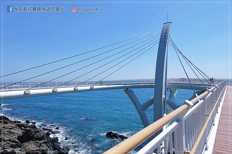 64)釜山．海雲台｜2024釜山新景點「海月展望台(해월전망대)／海月天空步道」，藍線公園海濱列車可直達 @我在前往韓國旅遊的路上