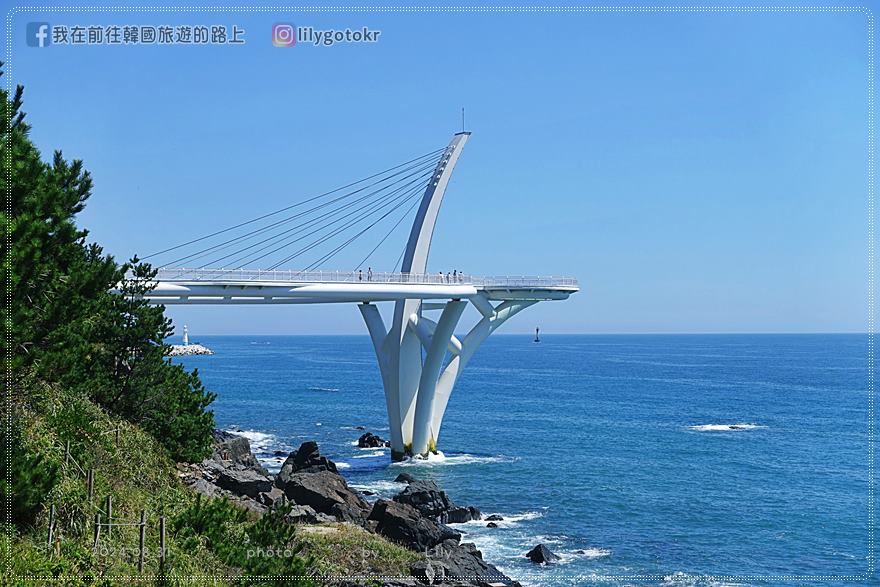 64)釜山．海雲台｜2024釜山新景點「海月展望台(해월전망대)／海月天空步道」，藍線公園海濱列車可直達 @我在前往韓國旅遊的路上