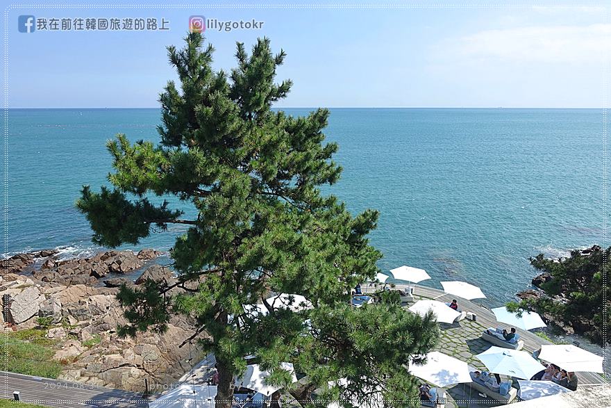 64)釜山．機張｜坐擁自然絕美海景「Waveon Coffee」超療癒海景咖啡廳 @我在前往韓國旅遊的路上