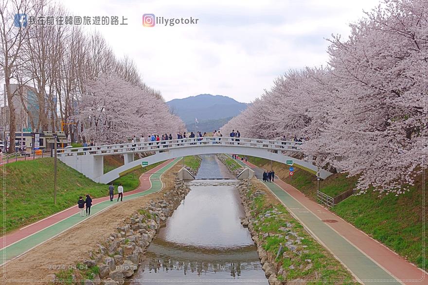 63)首爾．良才市民之林站｜良才川櫻花路양재천 벚꽃길，臨近地鐵站及良才川咖啡街 @我在前往韓國旅遊的路上