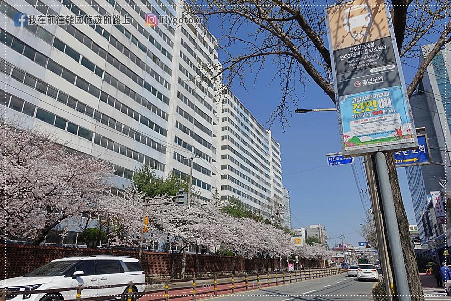 63)全羅北道．全州｜全州賞櫻首推「德津區廳櫻花路덕진구청 벚꽃로」，另有全北大學(全州校區)、全州德津公園 @我在前往韓國旅遊的路上