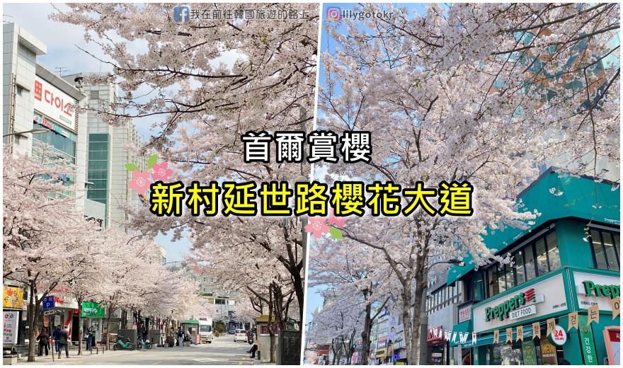 自由行工具｜2023韓國地圖APP「韓巢」中文介面,路線查詢,旅遊及酒店預訂,優惠券(韓巢地圖APP使用心得與教學) @我在前往韓國旅遊的路上