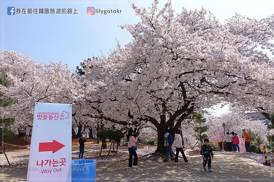 63)仁川．石南站｜期間限定開放爆美賞櫻景點「SK石油化學櫻花公園」超推薦 @我在前往韓國旅遊的路上