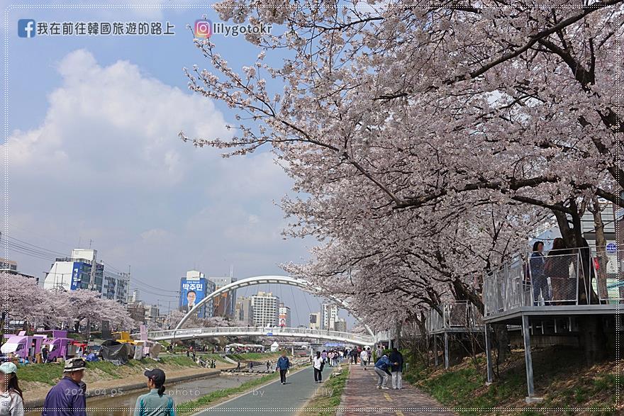 63)首爾．賽折／鷹岩站｜恩平區賞櫻景點「佛光川櫻花路(불광천벚꽃길)」《依法相愛吧》拍攝地 @我在前往韓國旅遊的路上