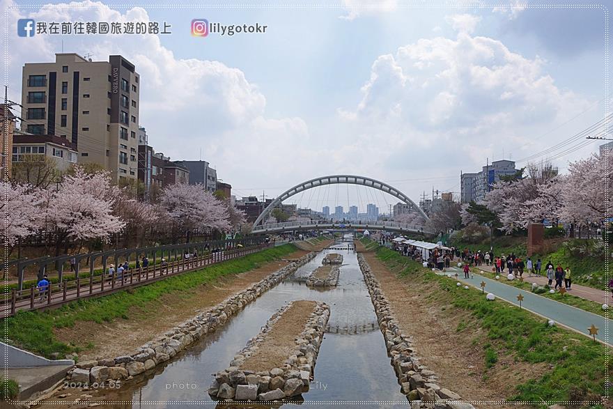 63)首爾．賽折／鷹岩站｜恩平區賞櫻景點「佛光川櫻花路(불광천벚꽃길)」《依法相愛吧》拍攝地 @我在前往韓國旅遊的路上