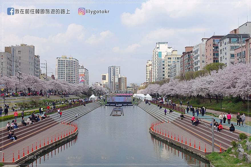 63)首爾．賽折／鷹岩站｜恩平區賞櫻景點「佛光川櫻花路(불광천벚꽃길)」《依法相愛吧》拍攝地 @我在前往韓國旅遊的路上