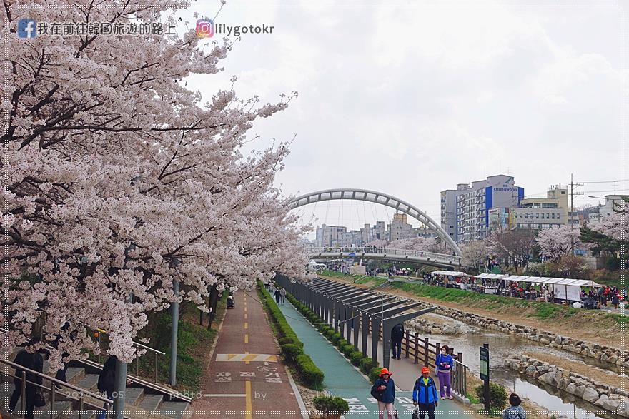 63)首爾．賽折／鷹岩站｜恩平區賞櫻景點「佛光川櫻花路(불광천벚꽃길)」《依法相愛吧》拍攝地 @我在前往韓國旅遊的路上