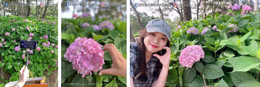開箱｜ShutterGrip2翻轉藍牙拍照握把、極輕自拍棒也是立架，有冷靴槽擴充、可外接腳架，手機攝影者必備 @我在前往韓國旅遊的路上