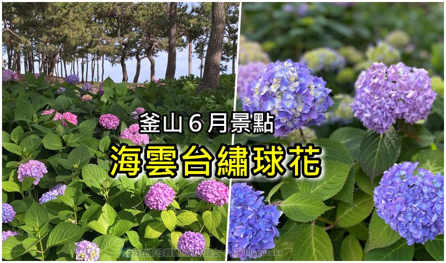 ㉚首爾．弘大｜Kakao Friends《We Are Friends》展覽(期間限定) @我在前往韓國旅遊的路上