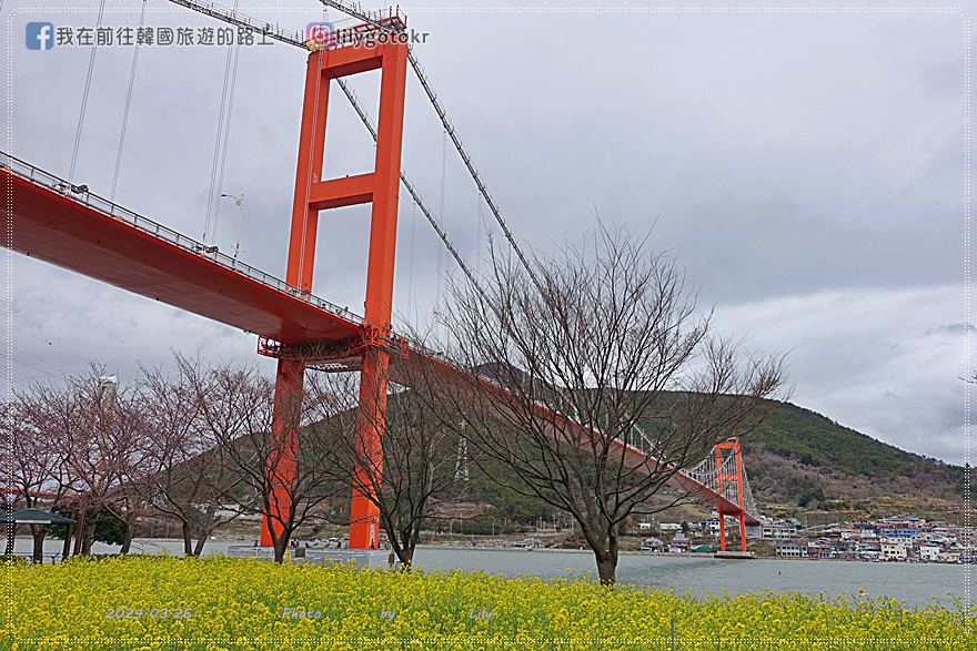 63)慶尚南道．南海｜王池櫻花路(왕지벚꽃길)絕美海景櫻花路，眺望南海大橋 @我在前往韓國旅遊的路上